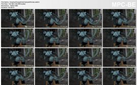 Gifdoozer (Collection) Scrin 1